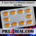 À Quoi Sert Le Miracle Léopard Du Miel cialis3